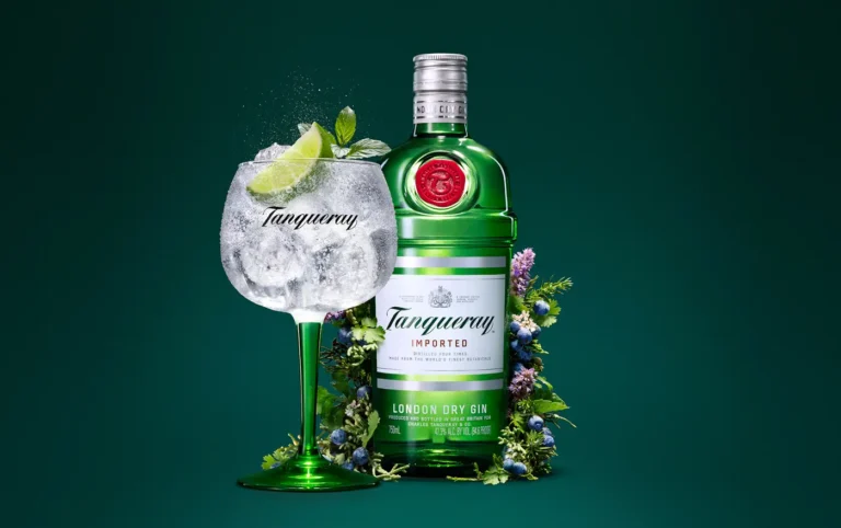 Tanqueray Gin bottle with botanicals and a tall glass of fizzing gin and lime