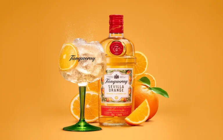 Tanqueray Gin bottle and a tall glass of fizzing gin and orange